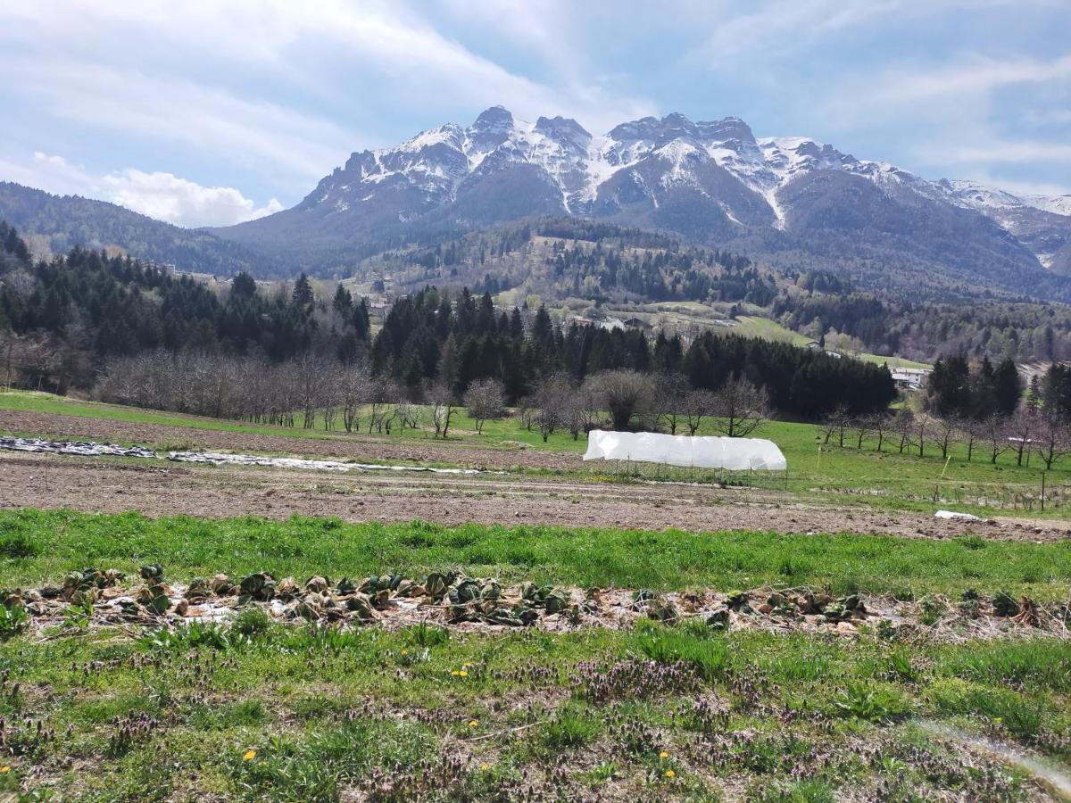 Agritur Maso Flonkeri Bed & Breakfast Bosentino ภายนอก รูปภาพ